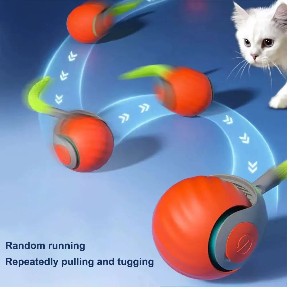 USB Rechargeable Smart Ball Toys
