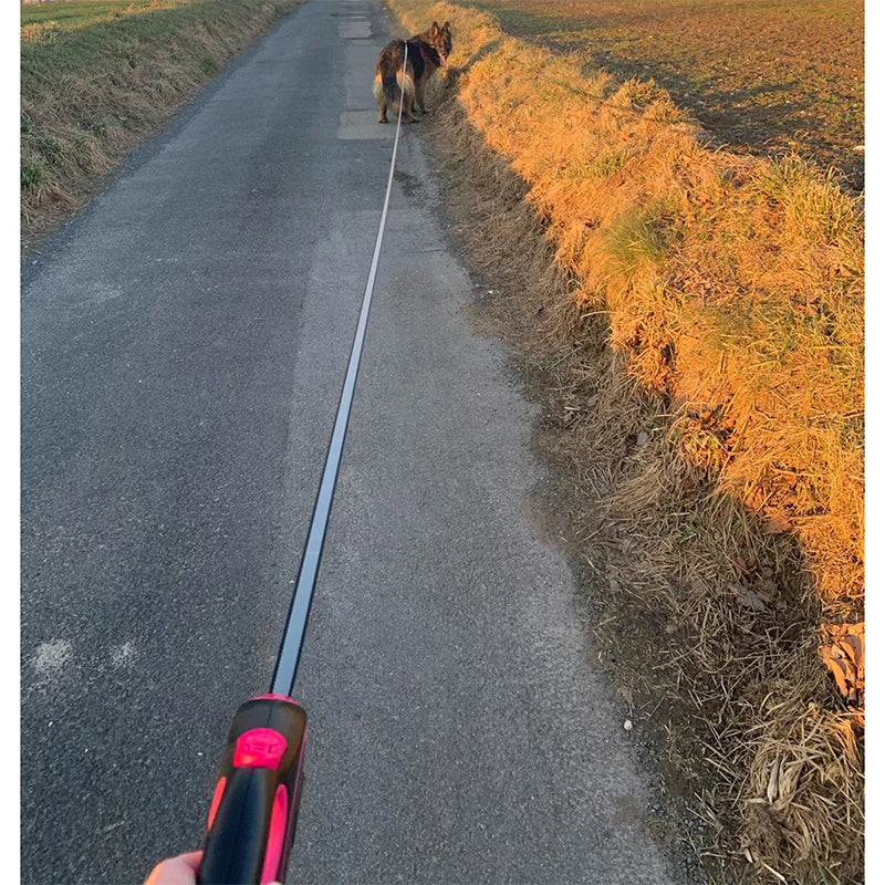 Retractable Roulette Dog Leash
