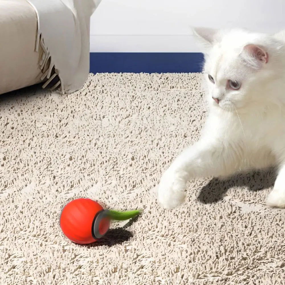 USB Rechargeable Smart Ball Toys