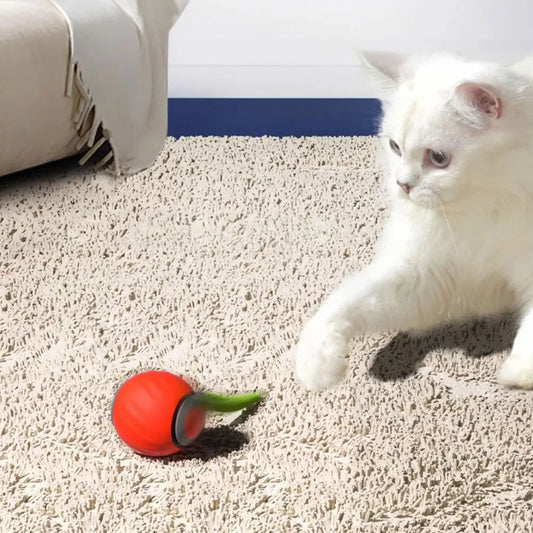 USB Rechargeable Smart Ball Toys