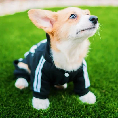 FurFashion Puppy Jumpsuit