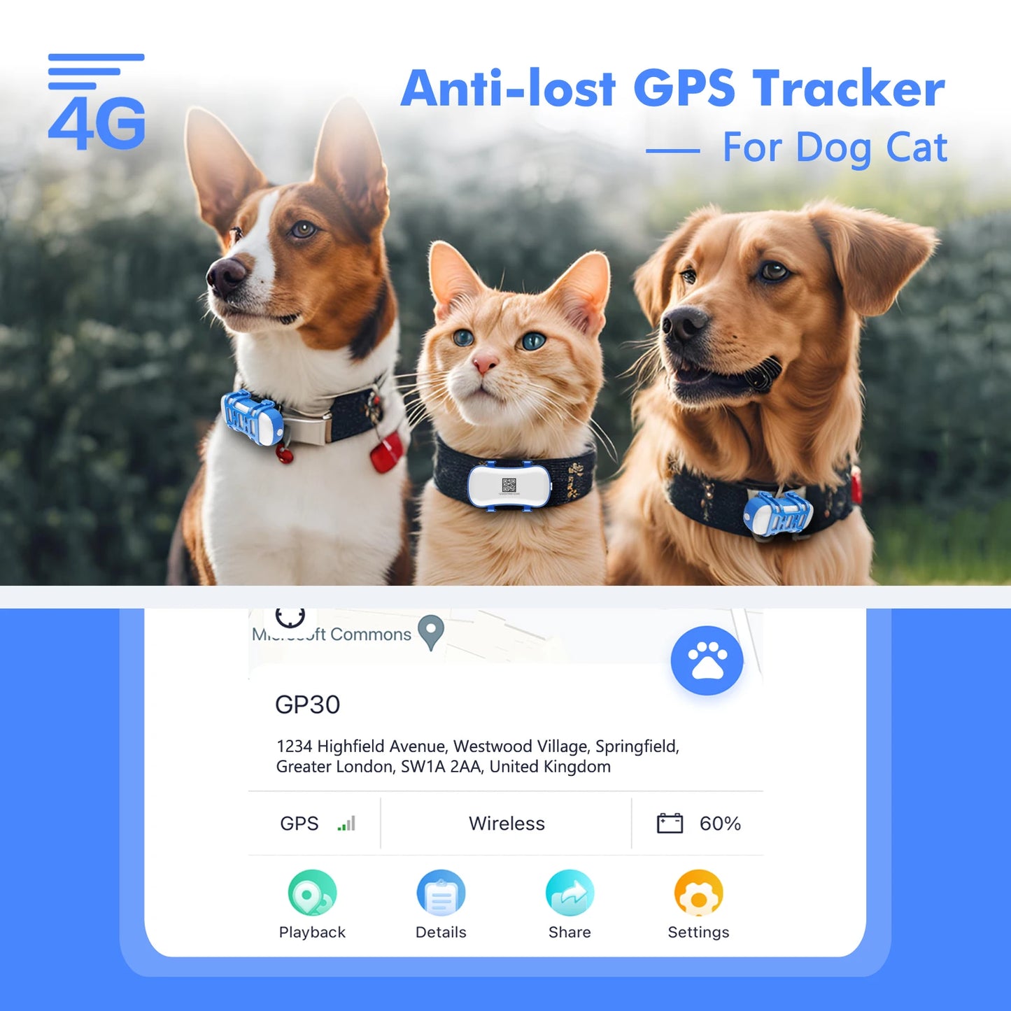 Waterproof Smart Locator with App