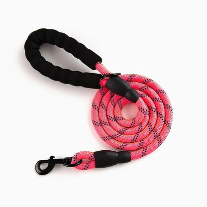 Reflective Dog Leash