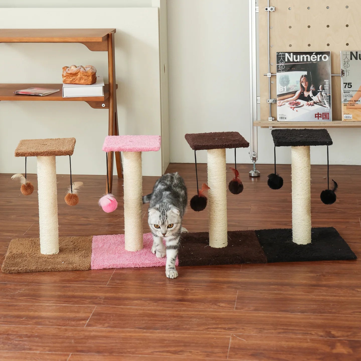 Agave Cat Scratching Post with Hanging Toy