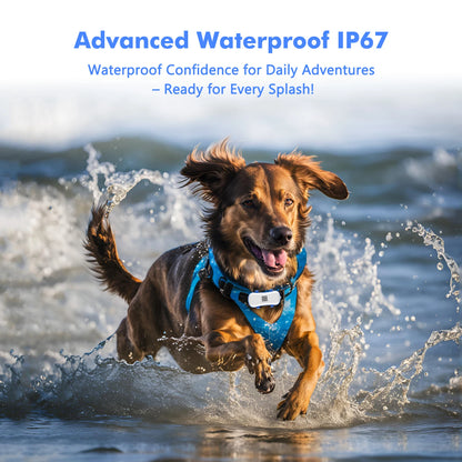 Waterproof Smart Locator with App