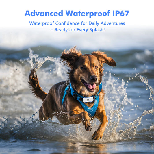 Waterproof Smart Locator with App