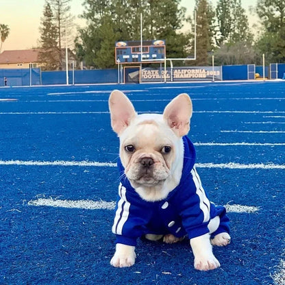 FurFashion Puppy Jumpsuit