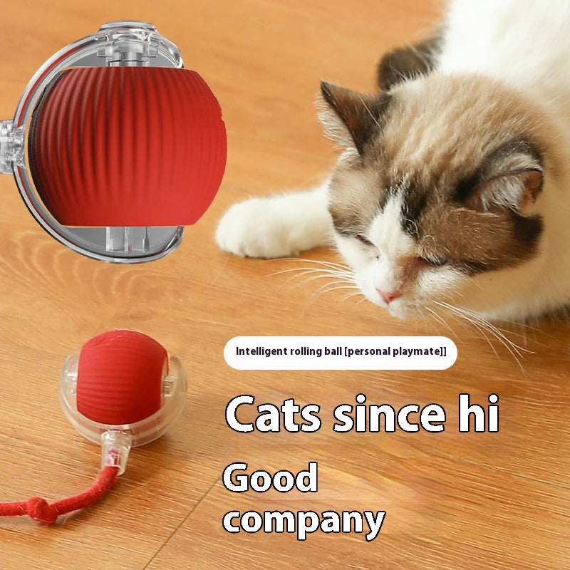 Smart Interactive Rolling Ball Toy for Cats