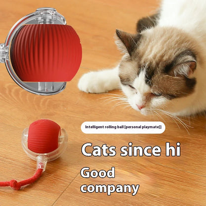 Smart Interactive Rolling Ball Toy for Cats