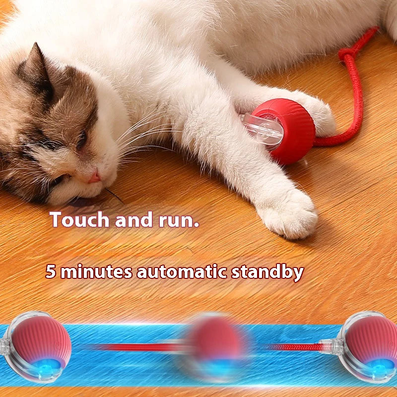 Smart Interactive Rolling Ball Toy for Cats