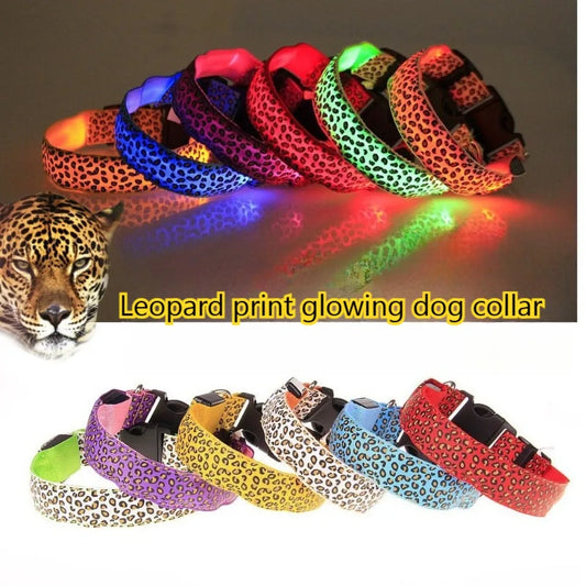 LED Dog Collar – USB Rechargeable Luminous Night Safety Collar