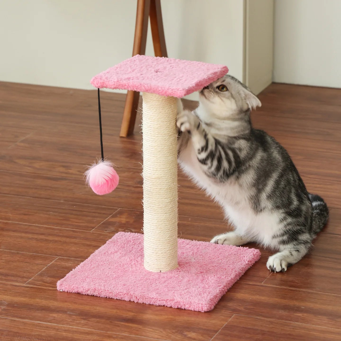 Agave Cat Scratching Post with Hanging Toy