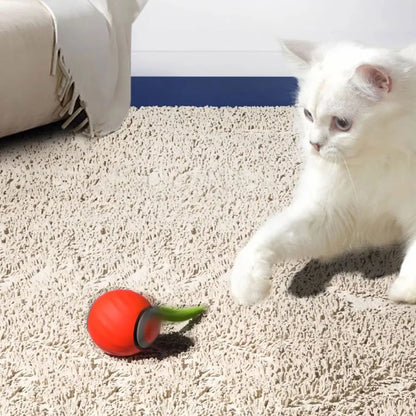 USB Rechargeable Smart Ball Toys