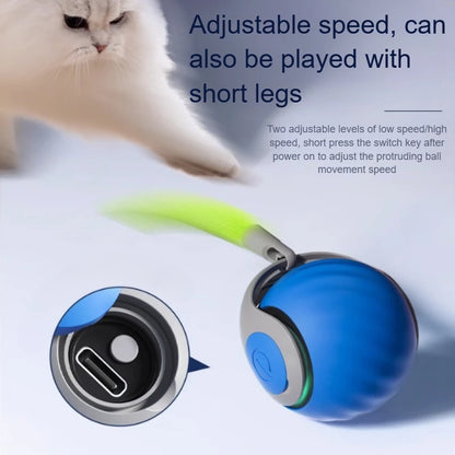 Interactive Cat Ball Toy