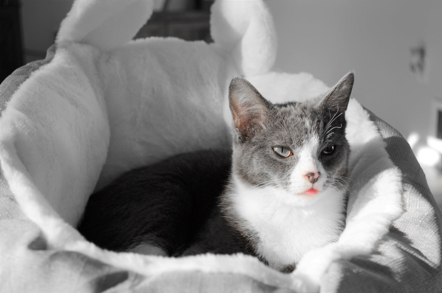 Small Pet Bed Sleeping Bag