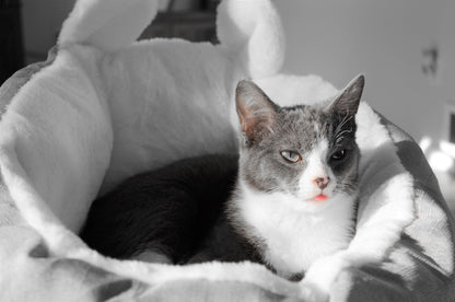 Small Pet Bed Sleeping Bag