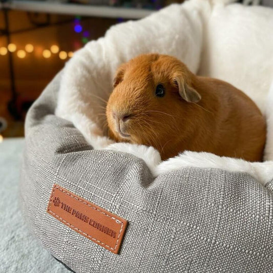 Small Pet Bed Sleeping Bag